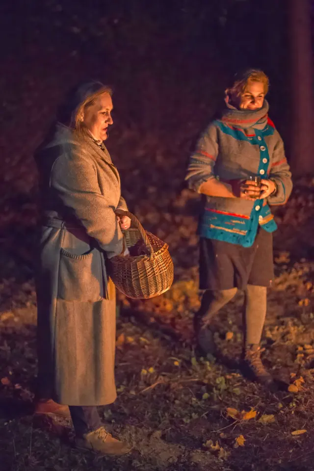Burtų miškas — vaizdas 7